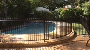 Curved Pool Fencing Adelaide